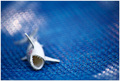 SharkDead (in &hellip;