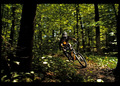 singletrack ri&hellip;