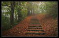 ...stairway to&hellip;