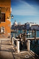 Venezia '&hellip;