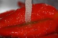 Paprika, voda &hellip;
