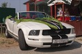 Ford Mustang W&hellip;