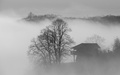 Slavonska mist&hellip;