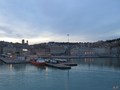 Ancona