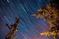 Star trails