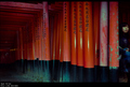 Fushimi Inari &hellip;