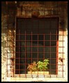 one old window&hellip;