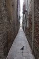 Calle di Venez&hellip;